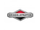 Briggs